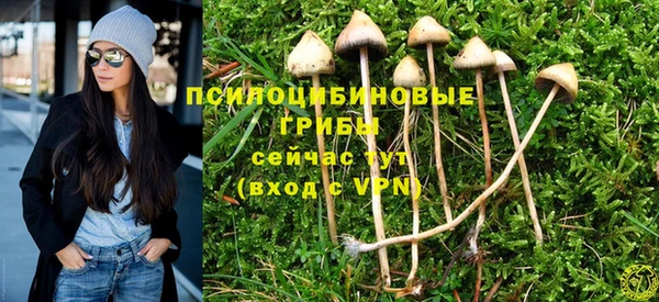 jwh Кукмор
