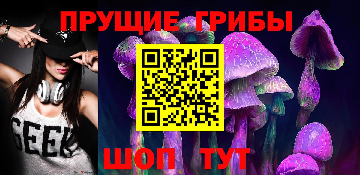 где найти наркотики  Псилоцибиновые грибы MAGIC MUSHROOMS  Мелеуз  Вход с VPN  Галлюциногенные грибы Psilocybine cubensis 